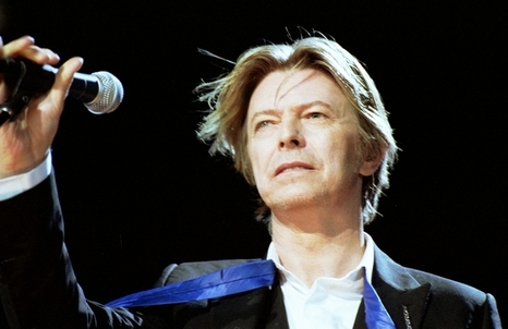 david david